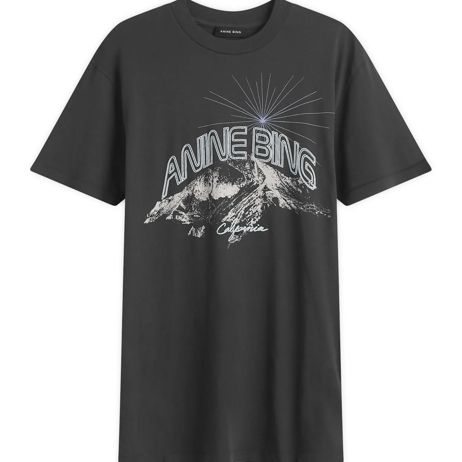 Anine Bing Walker T-Shirt