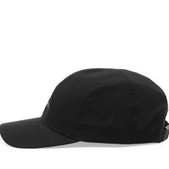 Arc'teryx Bird Word Cap