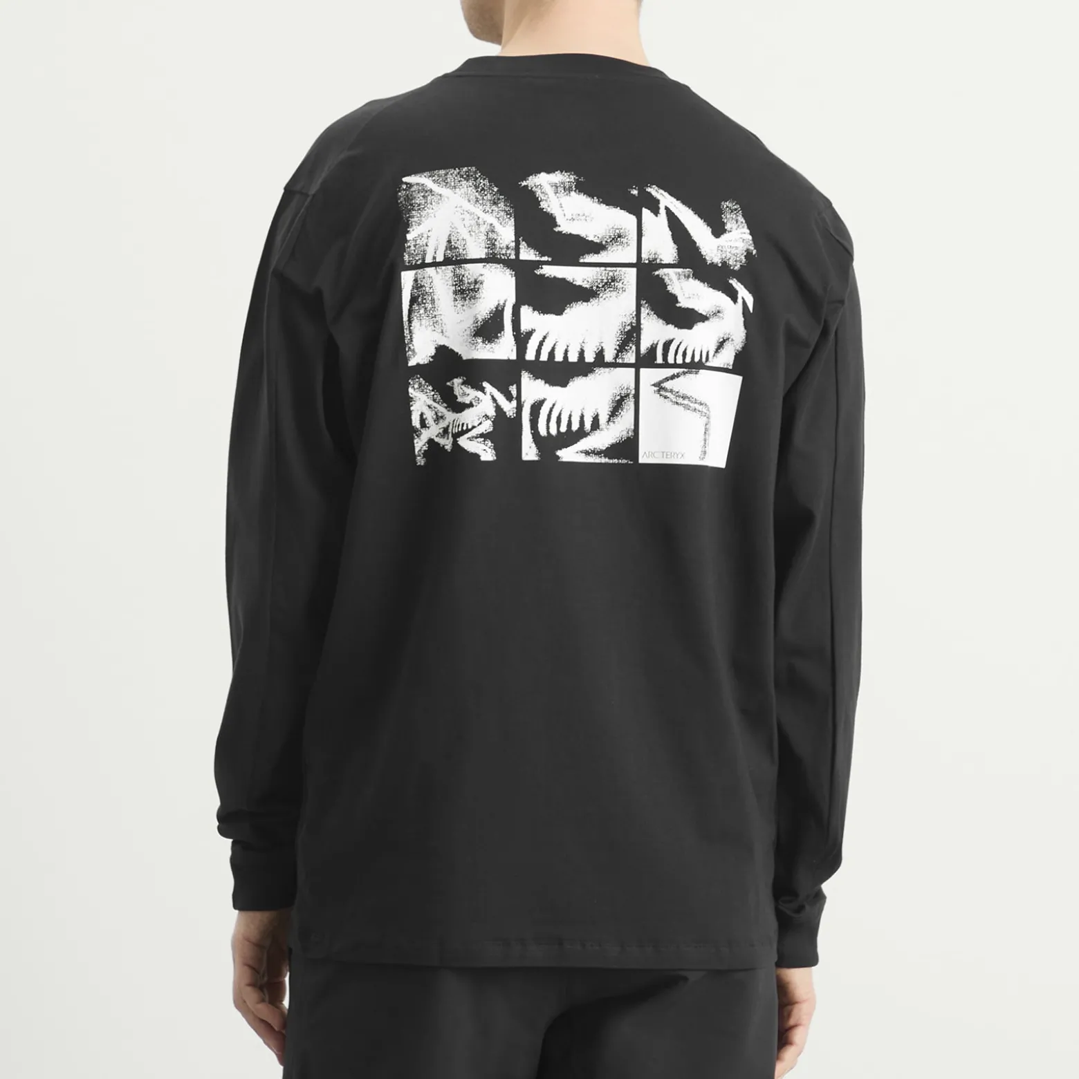 Arc'teryx Kragg SL Cotton Bird Tile Long Sleeve T-Shirt