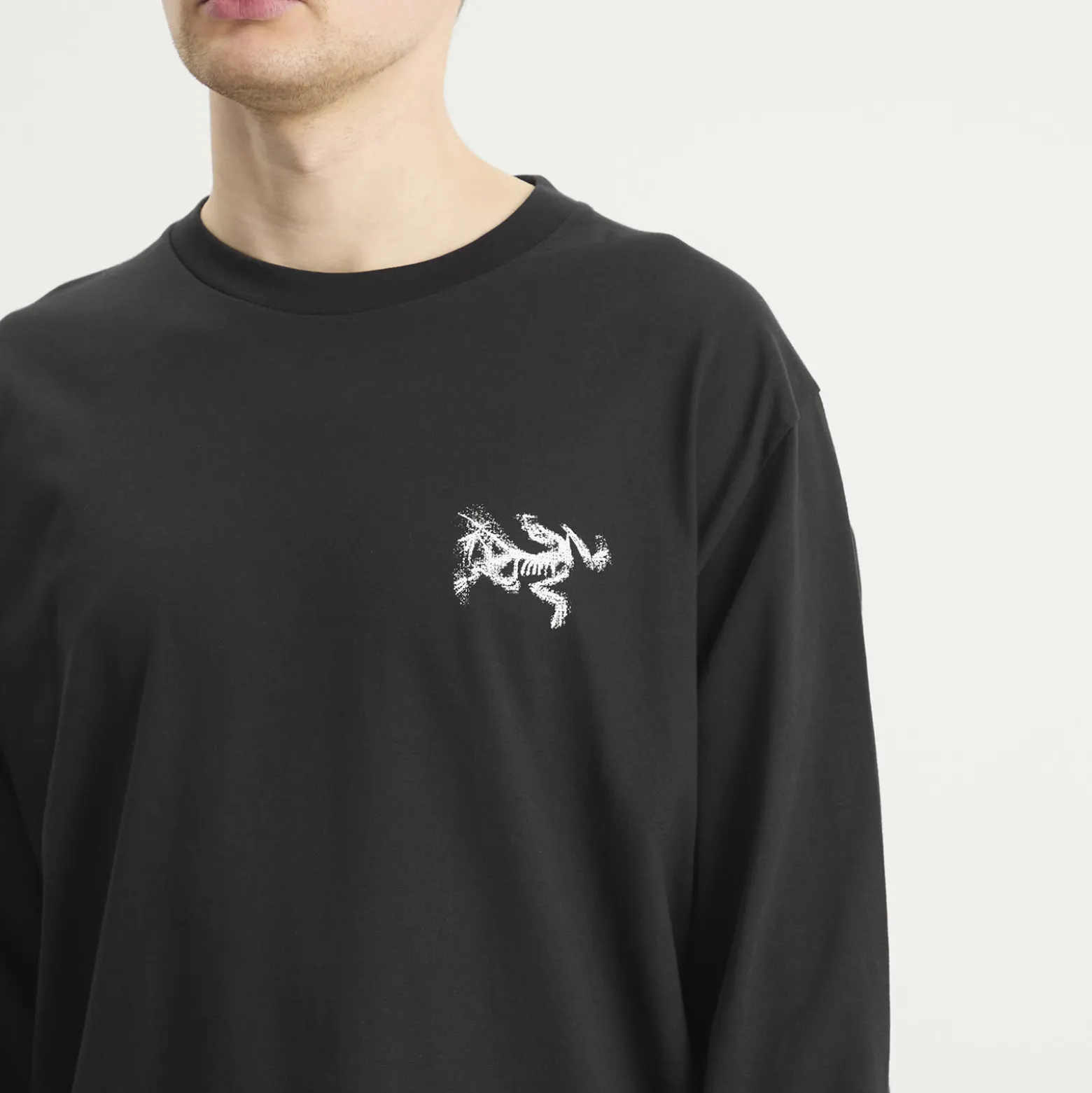 Arc'teryx Kragg SL Cotton Bird Tile Long Sleeve T-Shirt