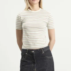 Auralee Gradient Stripe T-Shirt
