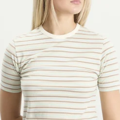 Auralee Gradient Stripe T-Shirt
