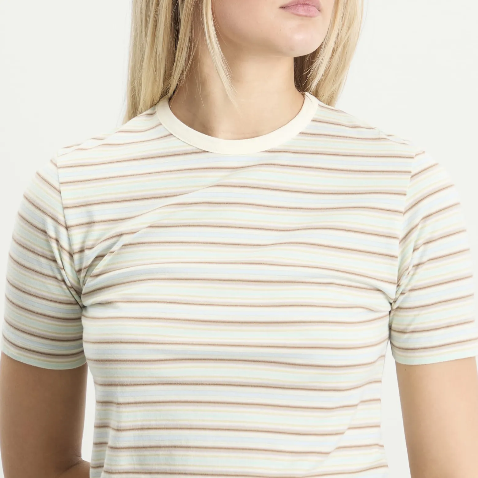 Auralee Gradient Stripe T-Shirt