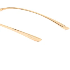 Bottega Veneta BV1390S Sunglasses