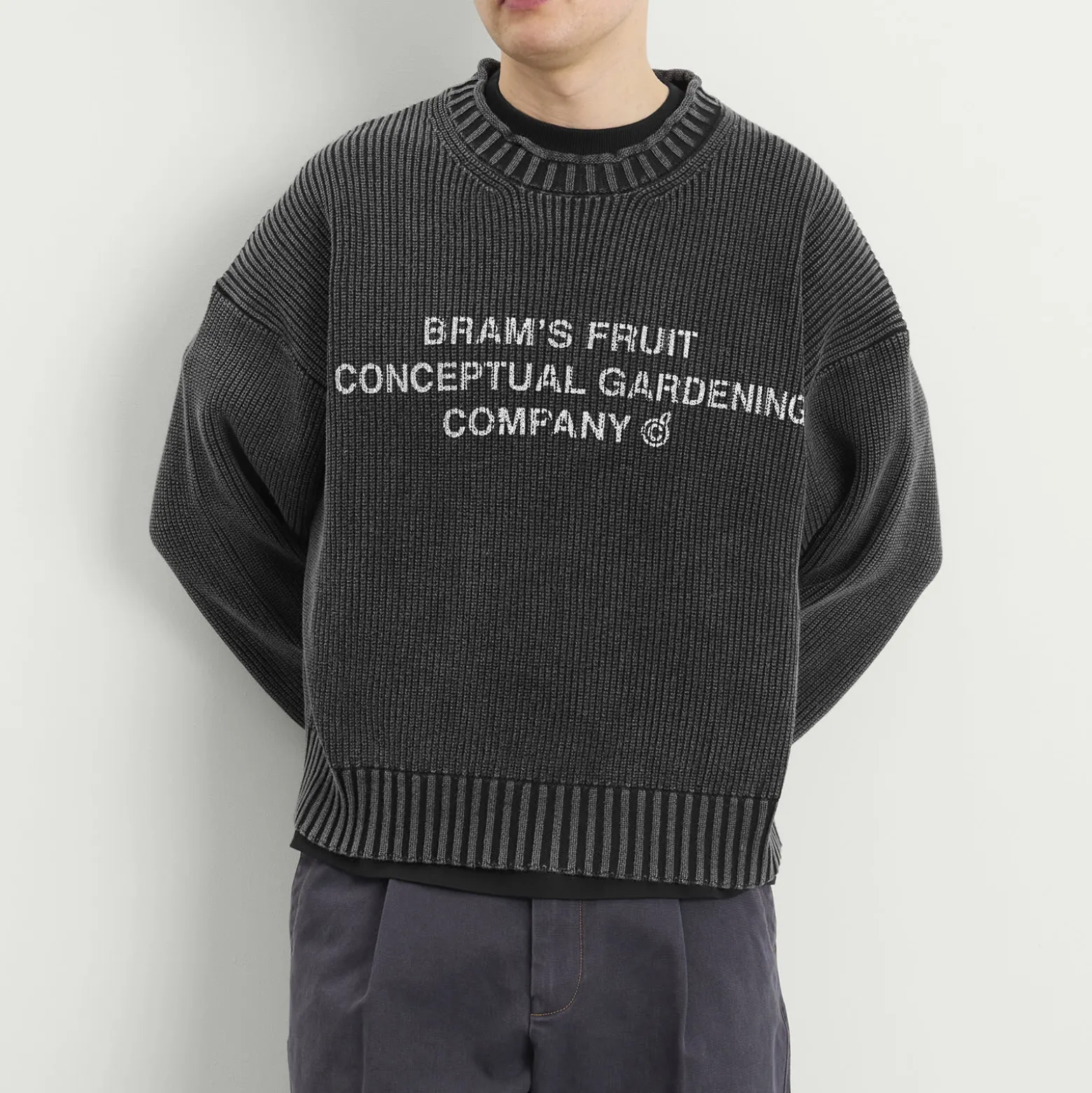 Bram's Fruit Stamp Knit
