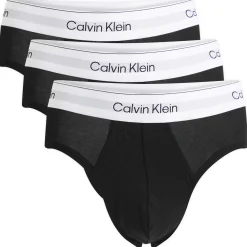 Calvin Klein Icon Hip Brief - 3 Pack