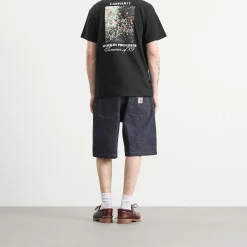 Carhartt WIP Warm Views T-Shirt