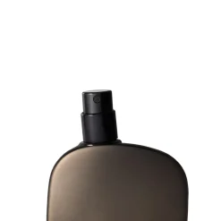 Comme des Garçons Wonderwood Eau de Parfum