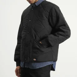 Dickies Samburg Liner Jacket