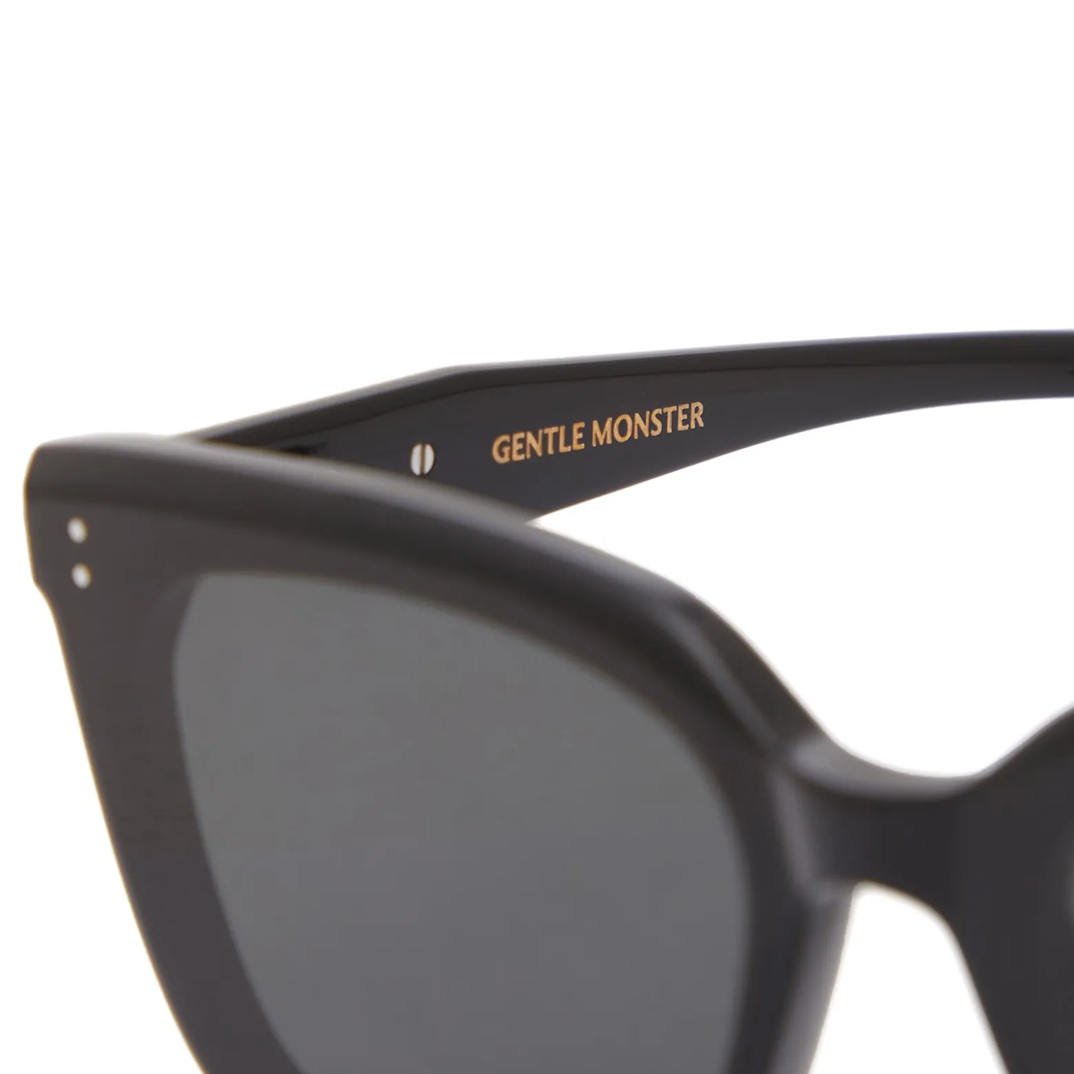 Gentle Monster Tote Sunglasses