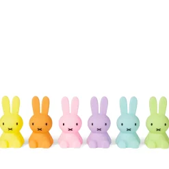 Mr. Maria Miffy Bundle of Light Colourful Surprise