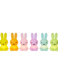 Mr. Maria Miffy Bundle of Light Colourful Surprise