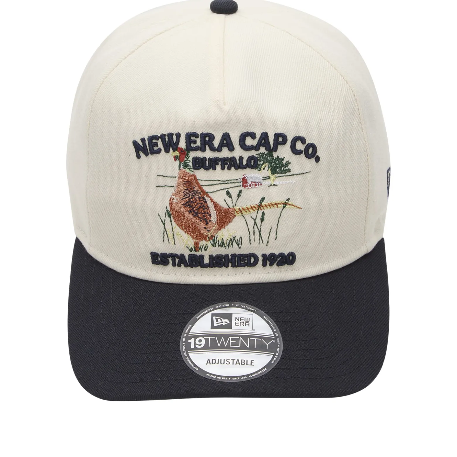 New Era Outdoor Graphic 19Twenty Cap