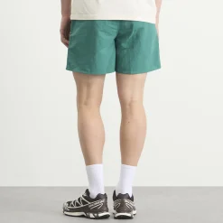 Patagonia Baggies 5