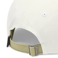 Patagonia Fitz Roy Icon Trad Cap