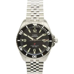 Timex Deepwater Arctic Watch